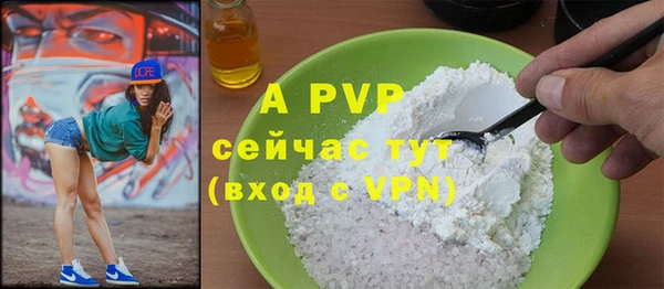 стаф Болохово