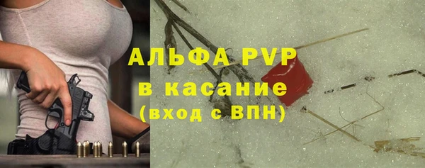 стаф Болохово