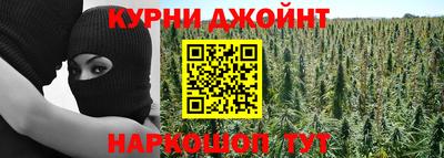 МДПВ Гай