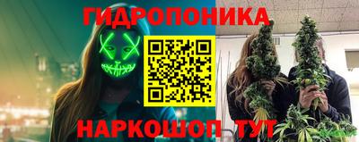 мяу мяу кристалл Гатчина
