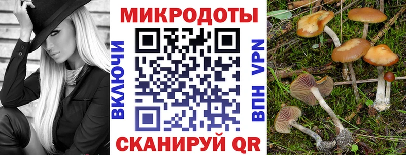 сайты даркнета какой сайт  Тольятти  Галлюциногенные грибы MAGIC MUSHROOMS 